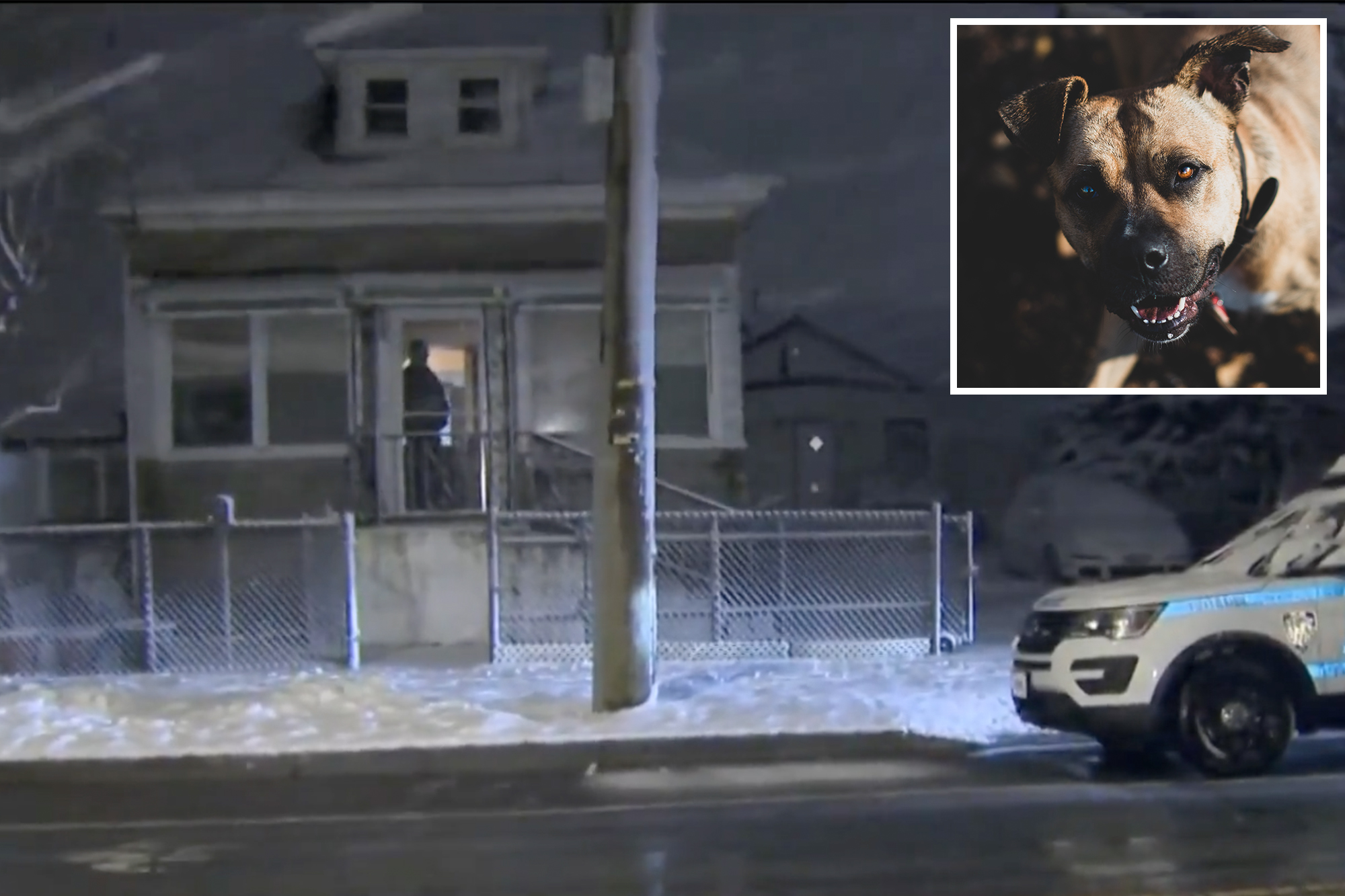 Man, 59, mauled to death by pit bull in NYC home: cops