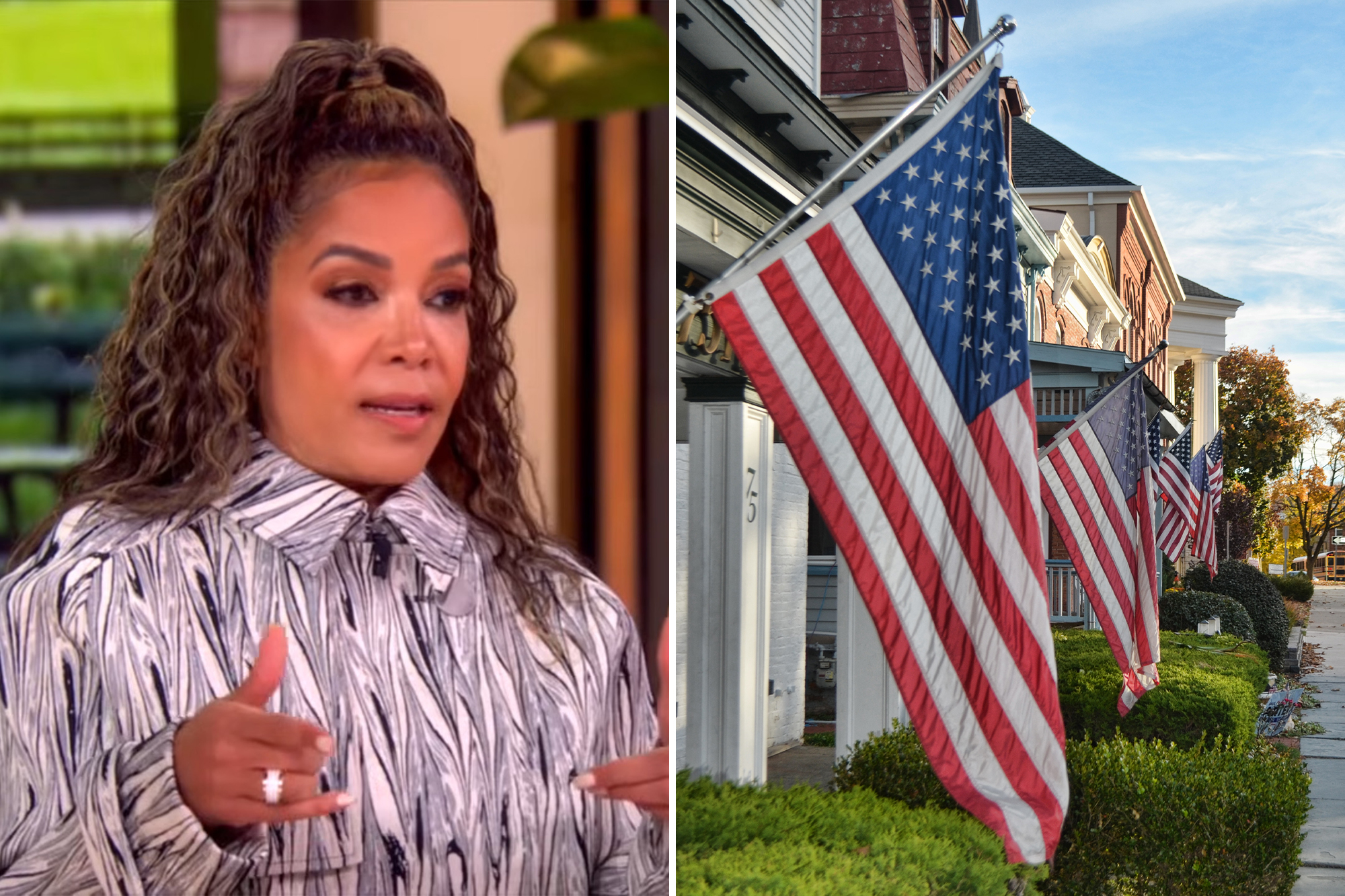 ‘The View’ co-host Sunny Hostin laments ‘I suddenly feel unsafe’ in neighborhoods with American flags