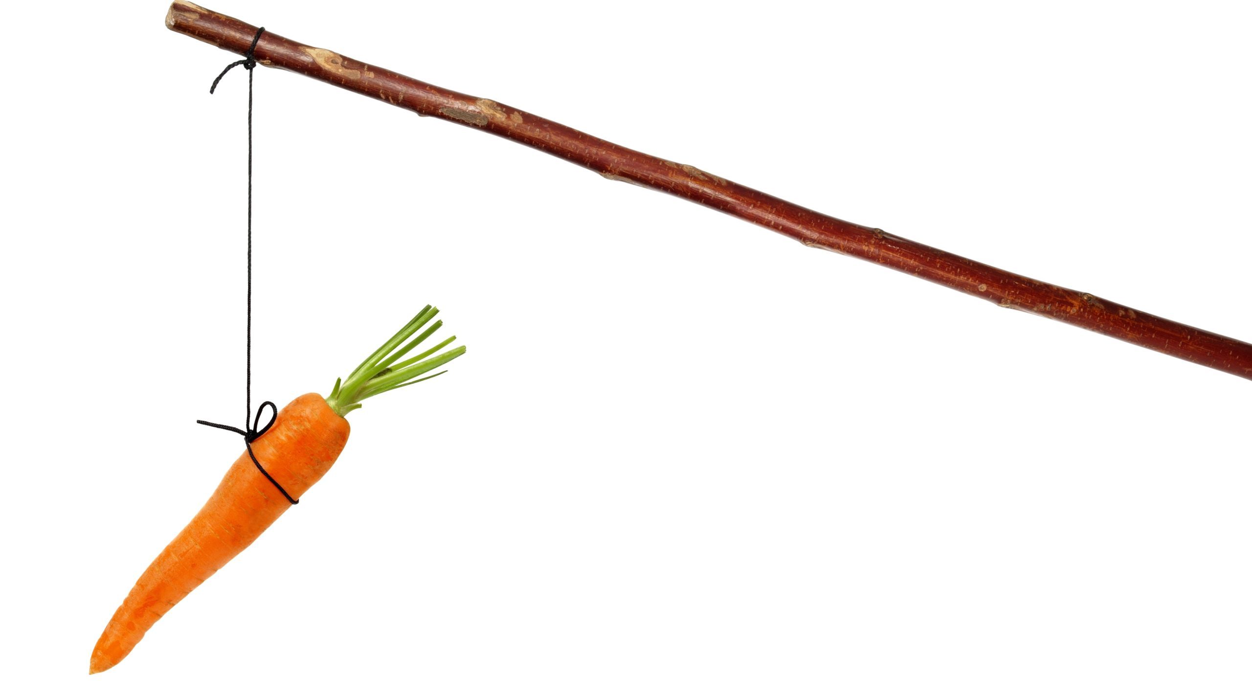 A Stick or a Carrot Should I Disinherit? Velella & Basso