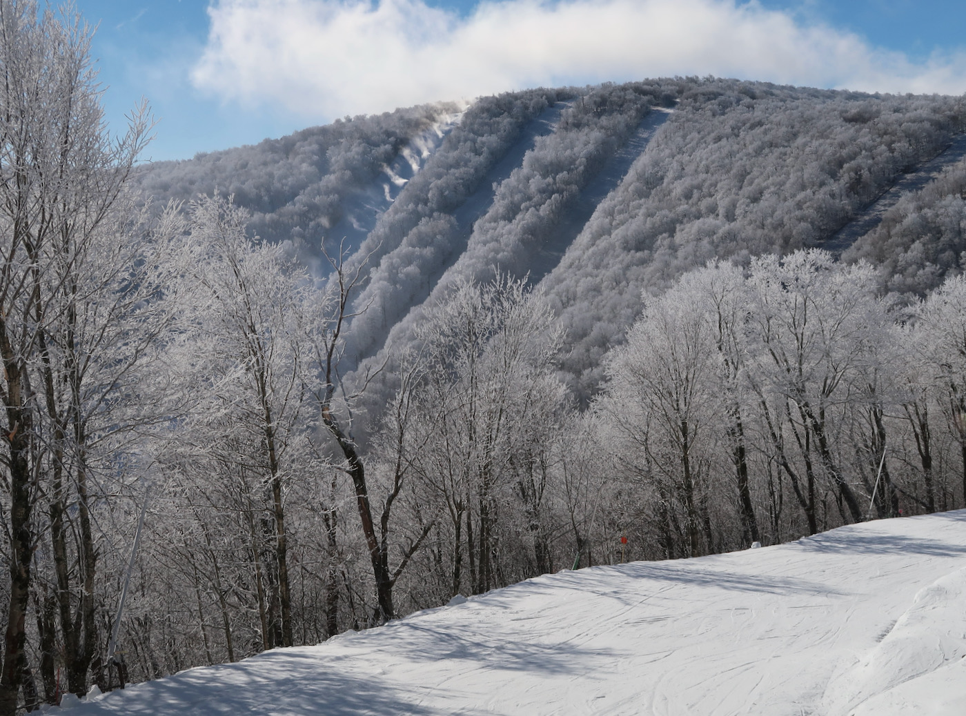 Plattekill, NY Jan 15 2023 Laz makes his own weather NYSkiBlog Forums