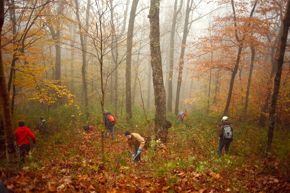 The Plattekill Tree Skiing Workday 2021 • NYSkiBlog