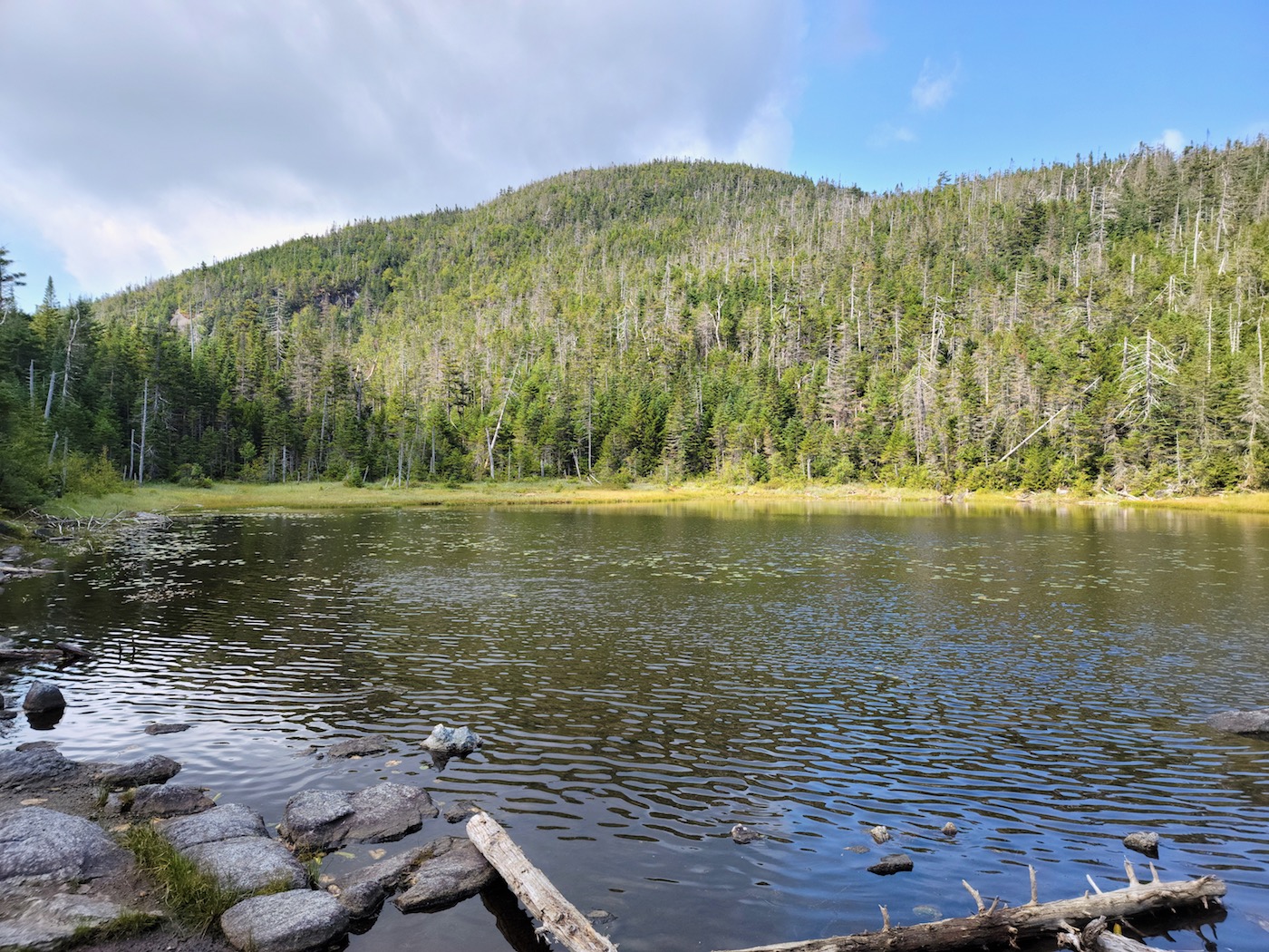 Mount Colden via Lake Arnold Sufferfest • NYSkiBlog