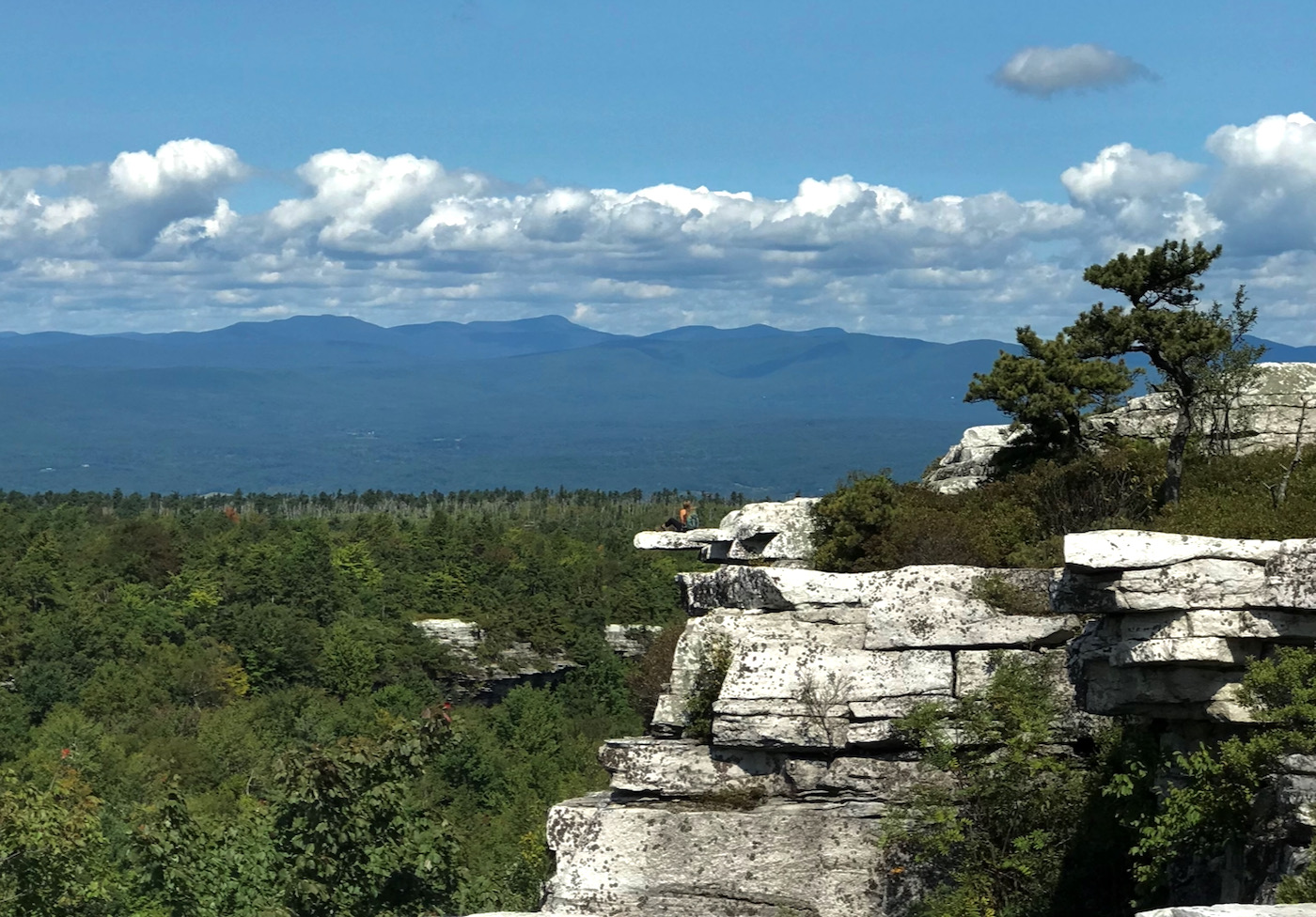 【未使用品】 Clintondale New York NY Mountains Hike Hiking Souvenir TShirt