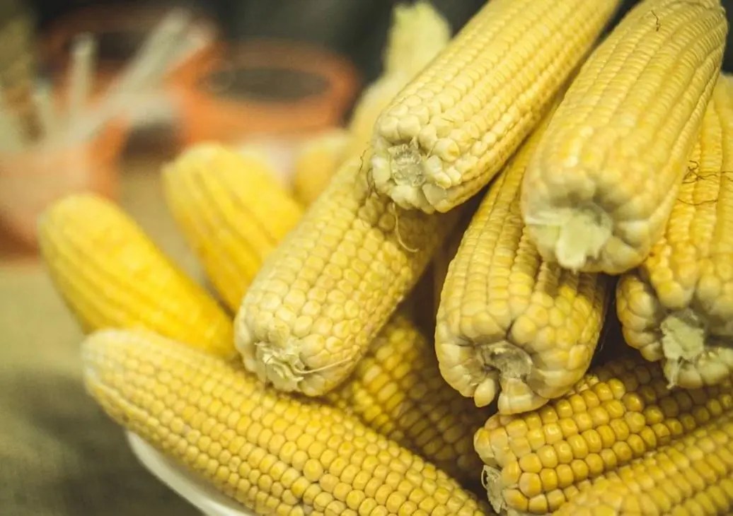 Er mais sunt? 13 gode grunner Helse