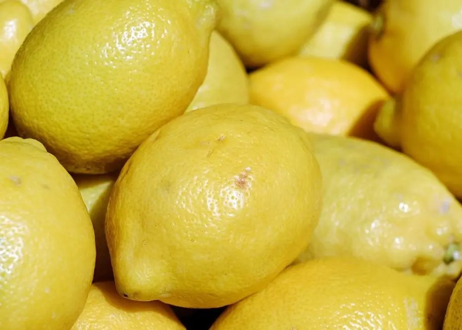 Er sitron sunt? 17 gode grunner Helse
