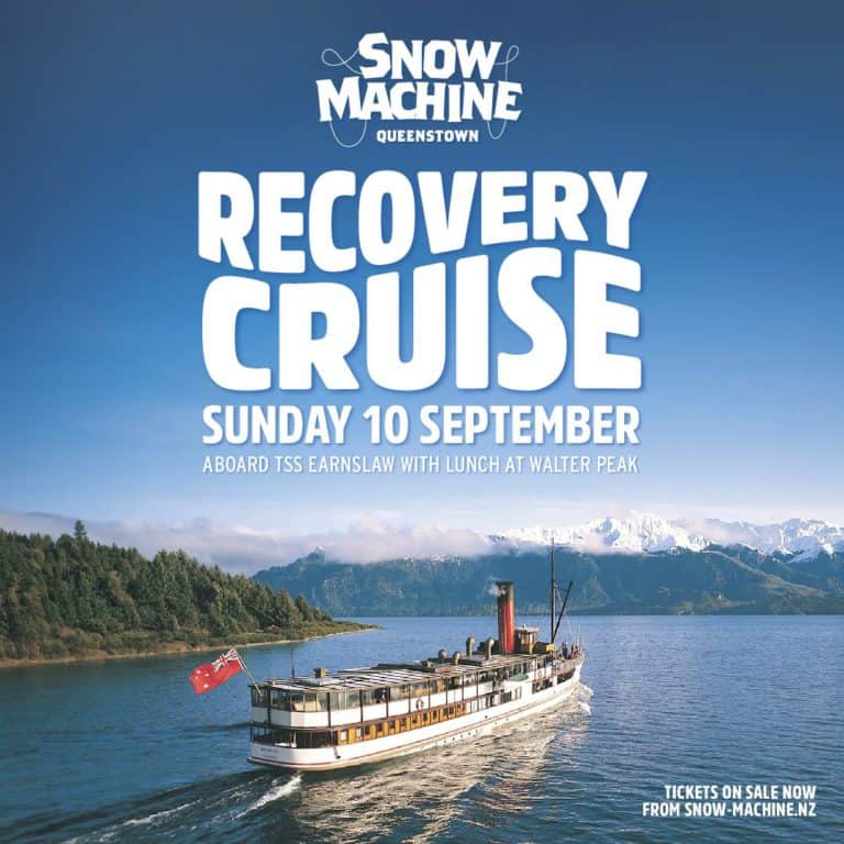 Home Snow Machine NZ