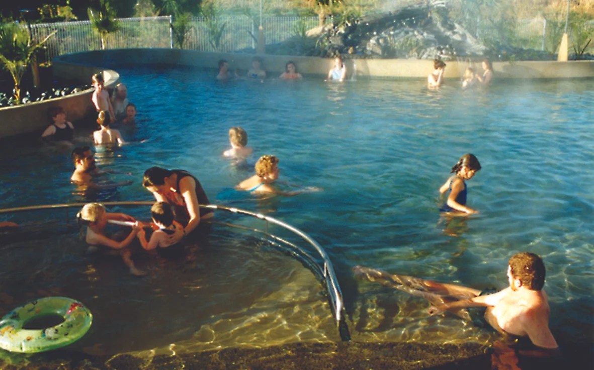 Miranda Holiday Park The New Zealand Camping Guide