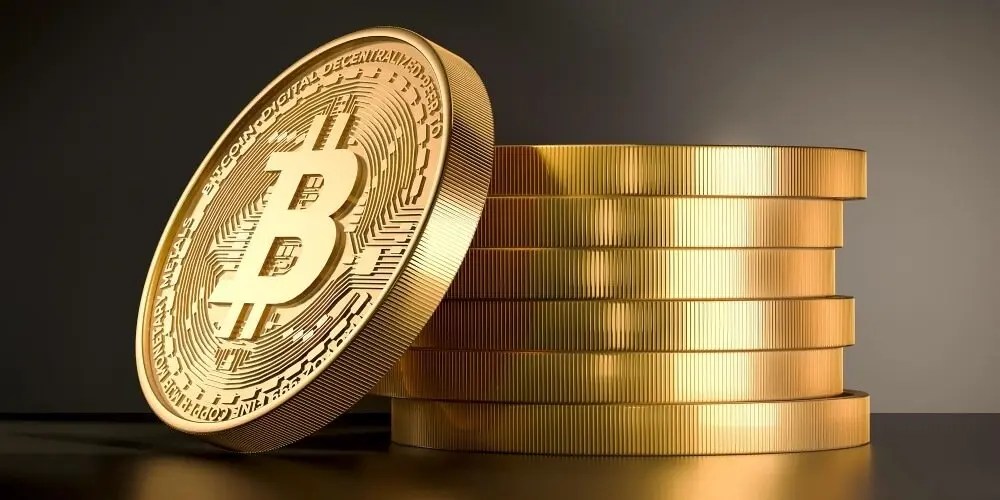 Kiwi Coin Review For Beginners