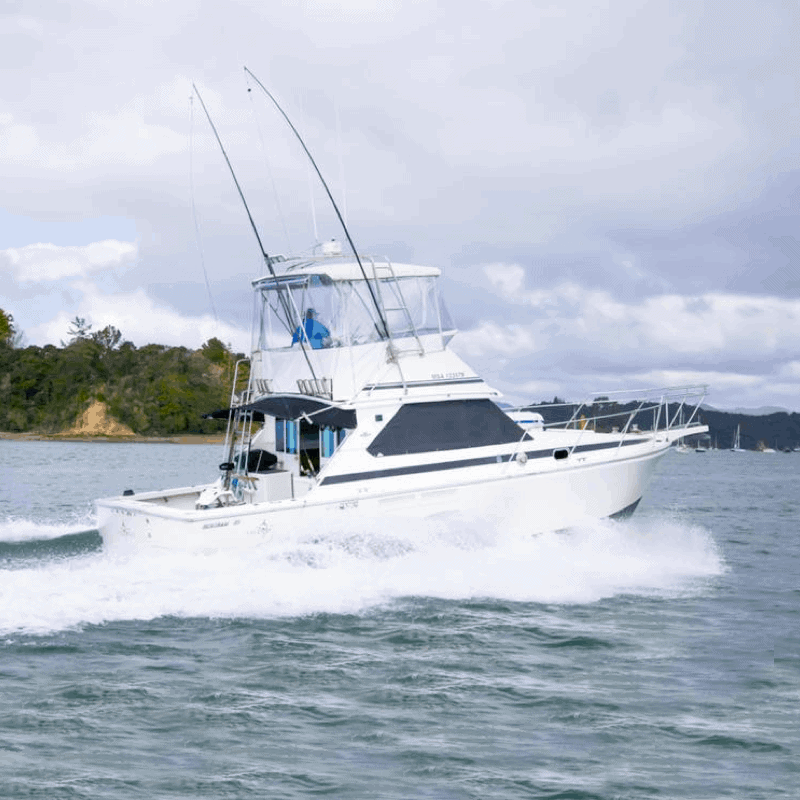 Saltshaker Charters NZFCD