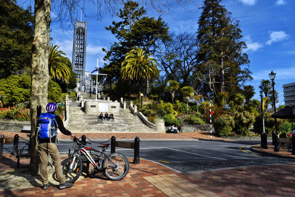 Nelson A Guide to Cheap LongTerm [2024]