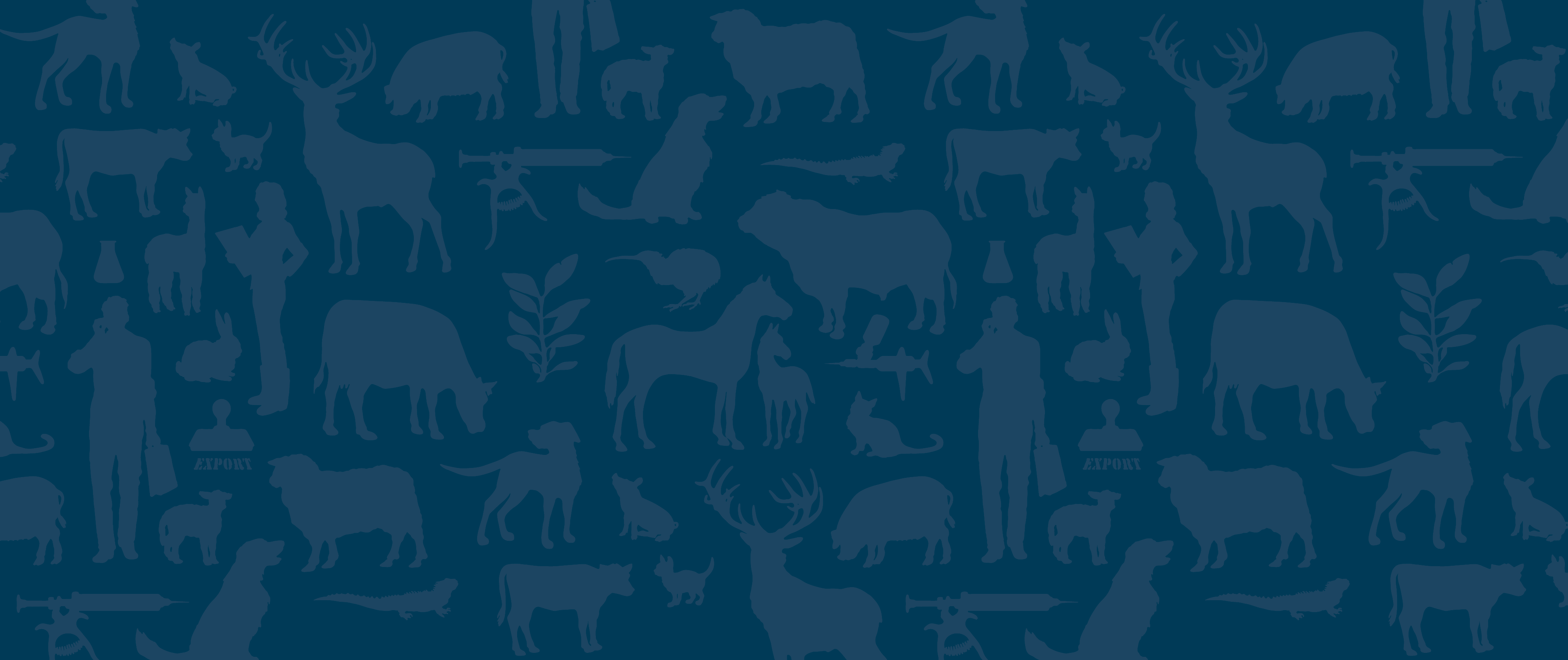 New Zealand Veterinary Association » New Zealand Veterinary Association