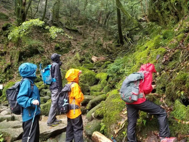 屋久島の雨の日は何をする？おすすめのアクティビティと観光スポット ｜屋久島ガイドのオーセン