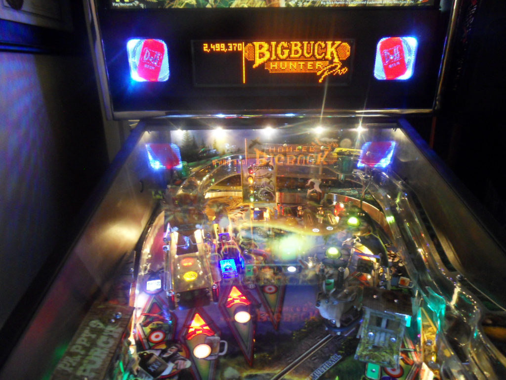 FS Big Buck Hunter Pro Pinball & 2006 Big Buck Hunter Arcade