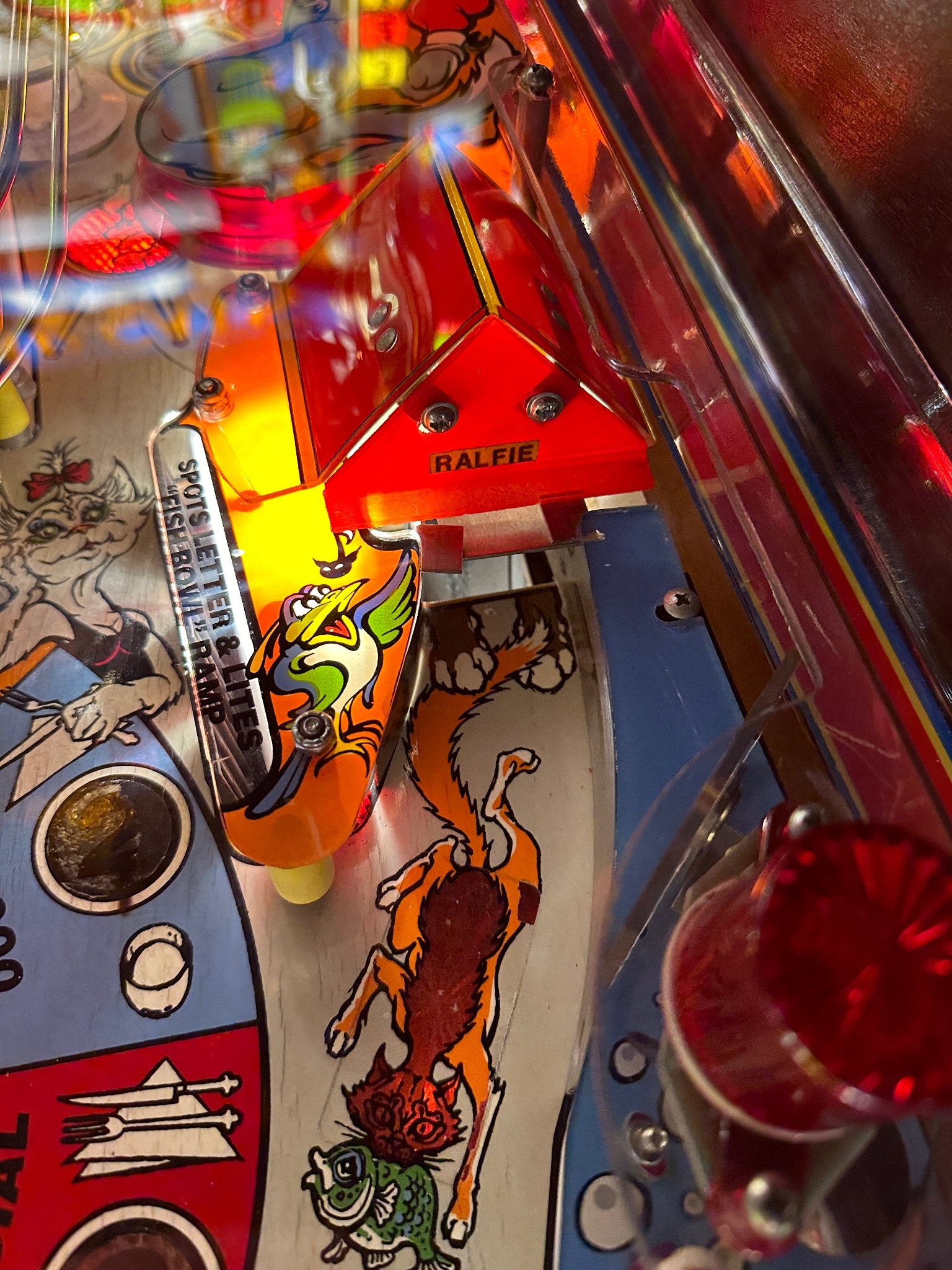 Bad Cats Everyone All clubs (...members only!)