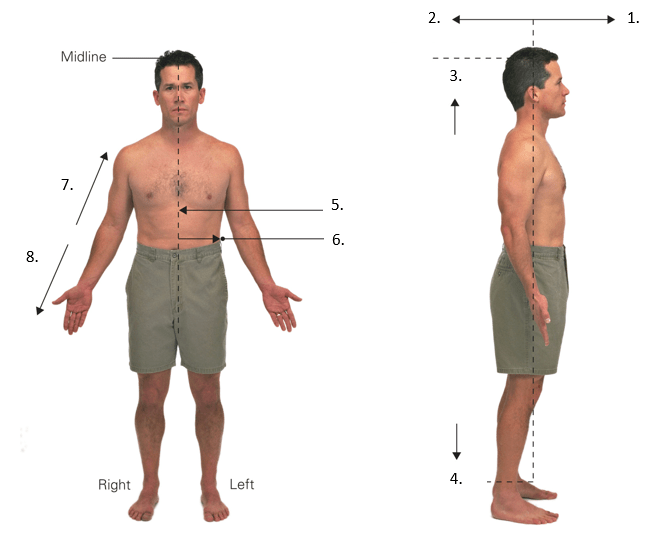 Label Body Directional Terms Diagram Quizlet