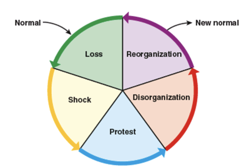 Palliative & Hospice Care Flashcards | Quizlet