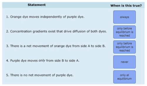Mastering Biology Chapter 5 Flashcards | Quizlet