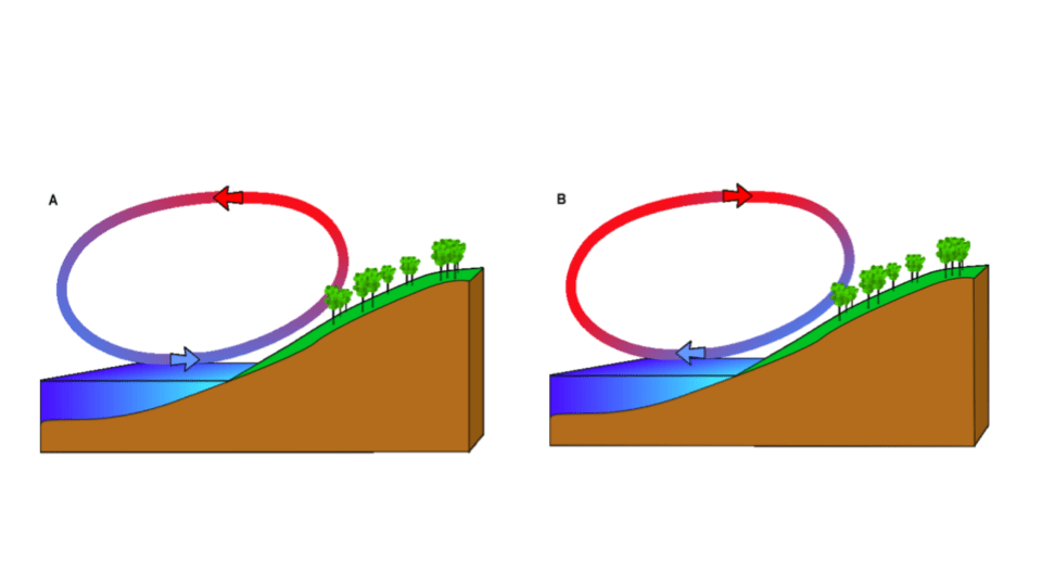 Land and Sea Breezes Diagram Quizlet