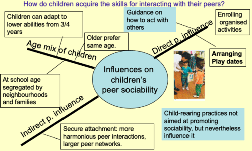peer interactions and social relations Flashcards | Quizlet