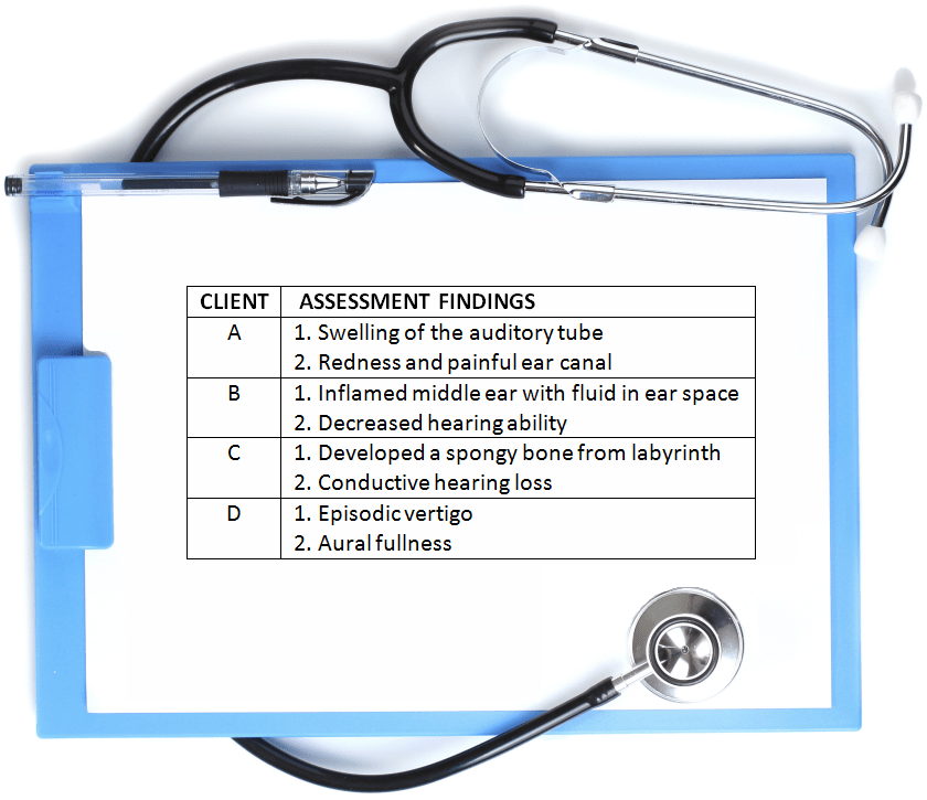 NUR 1028 Diagram Quizlet