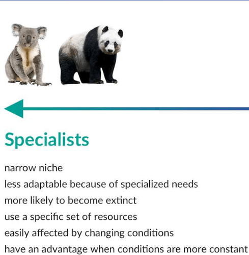 3.1 Generalist and Specialist Species Flashcards | Quizlet