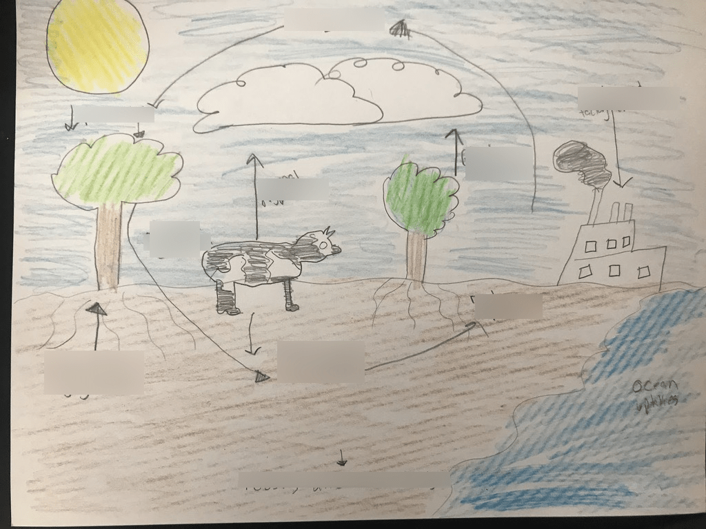 Cycles Project Diagram | Quizlet