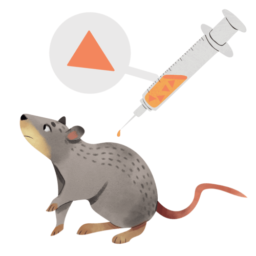 Monoclonal Antibodies Flashcards Quizlet
