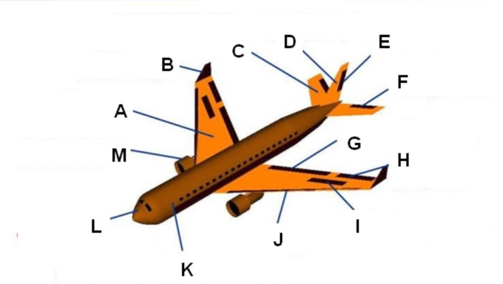 Parts of a Plane Diagram | Quizlet