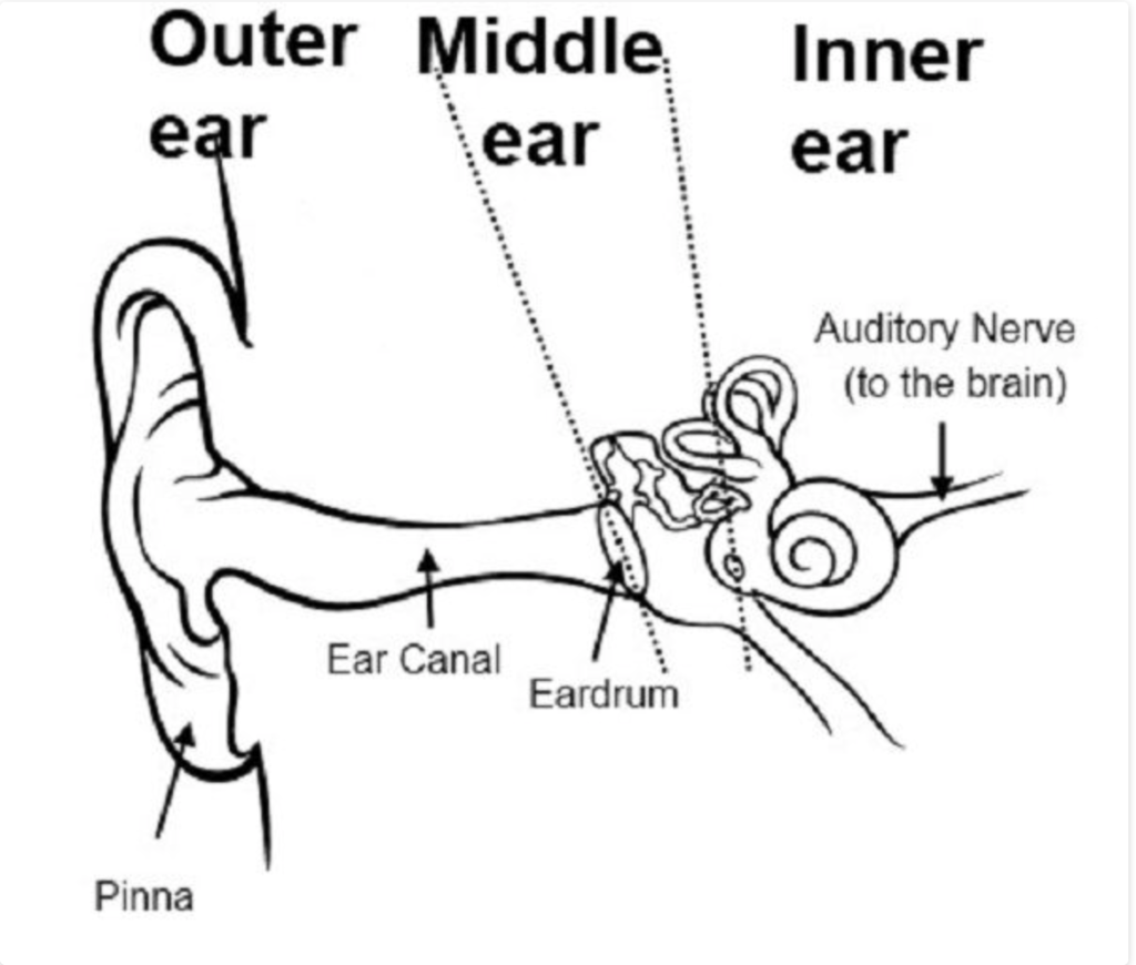Sound Diagram Quizlet