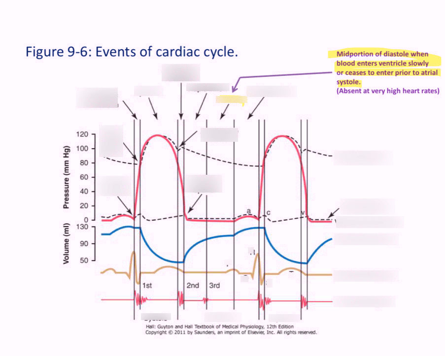 Events of Cardiac Cycle Diagram Quizlet