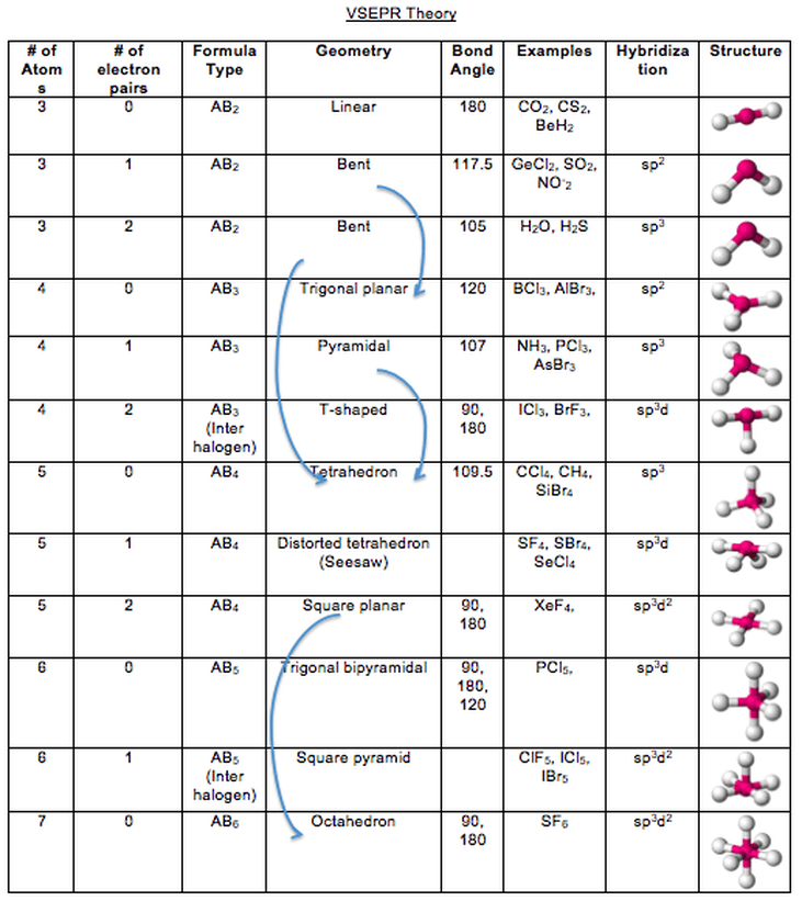 VESPR Diagram Quizlet