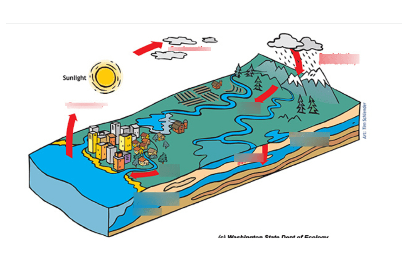 Watersheds Diagram Quizlet