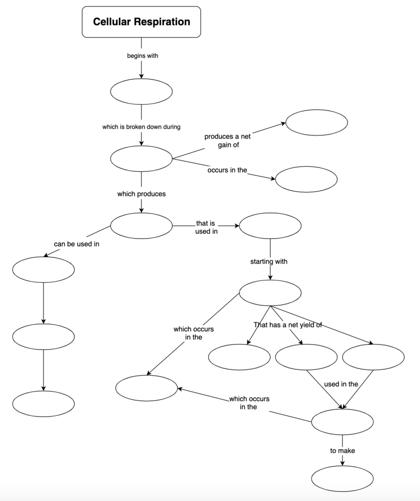 Cellular Respiration Diagram Quizlet