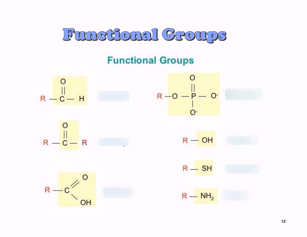 3 biomolecules Diagram Quizlet