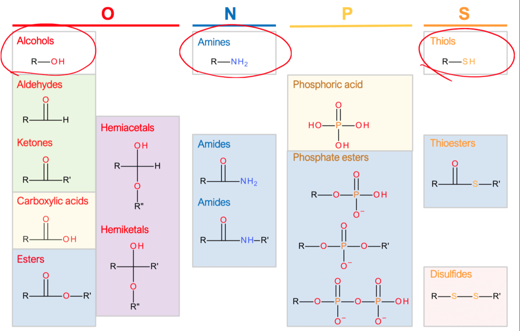 Functional groups Diagram | Quizlet