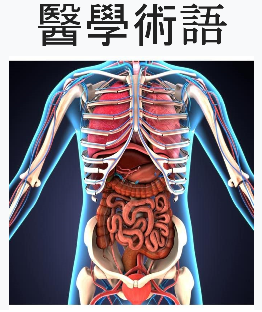 Cantonese Medical Terminology 1 Diagram Quizlet