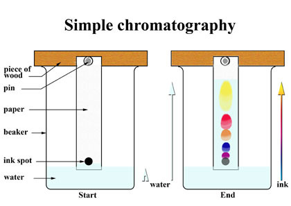 Separation methods - chromatography Flashcards | Quizlet