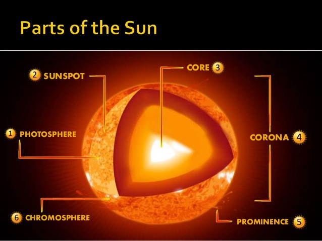 Parts of the SUN and definitions Diagram | Quizlet