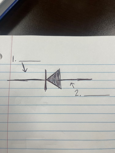 Motor control 2 Flashcards | Quizlet