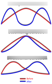 Biology Evolution Test Diagram | Quizlet