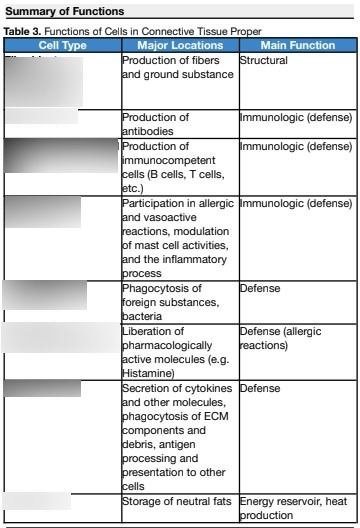 Connective Tissue Diagram | Quizlet
