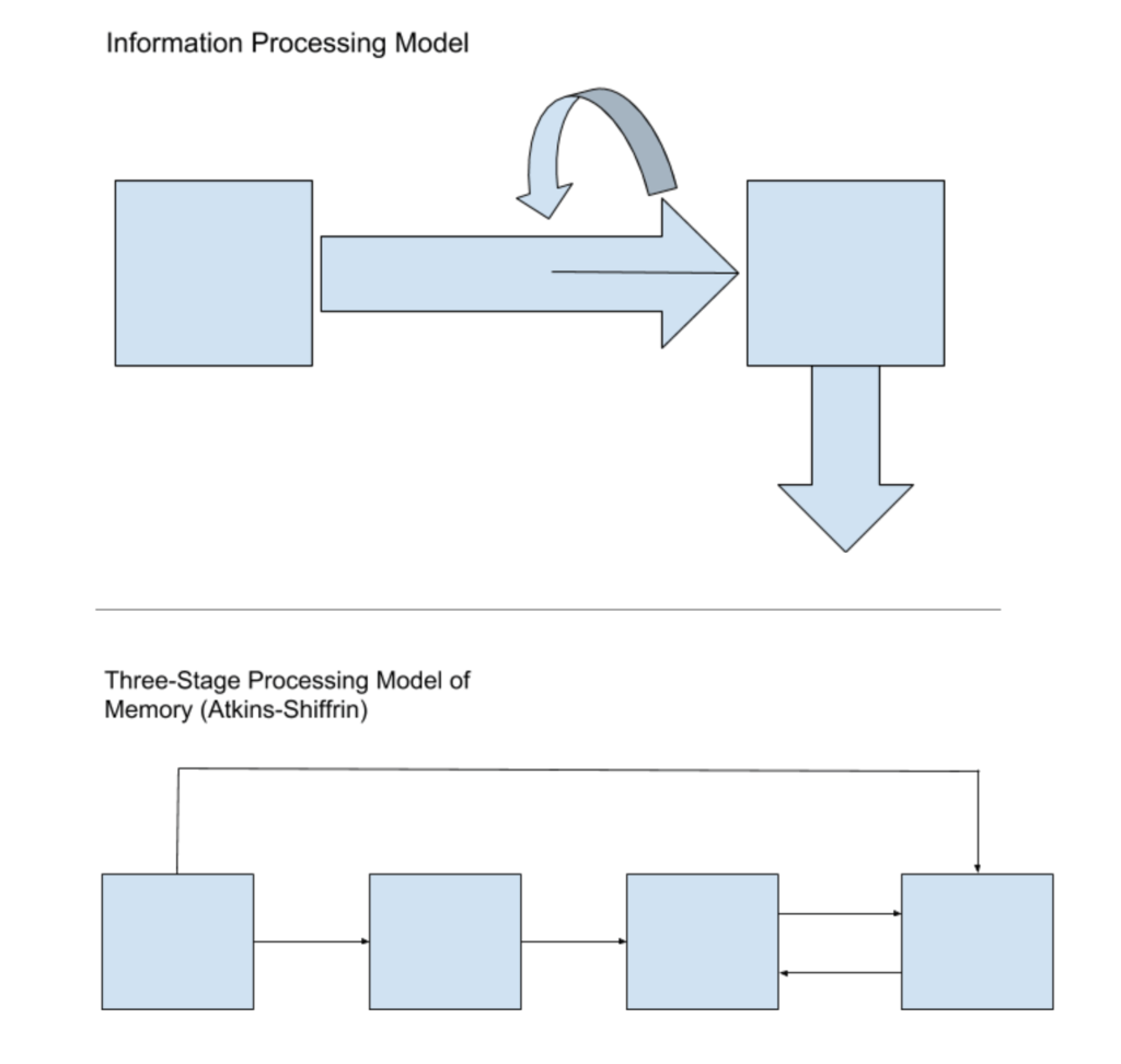 Introduction to Memory Diagram | Quizlet