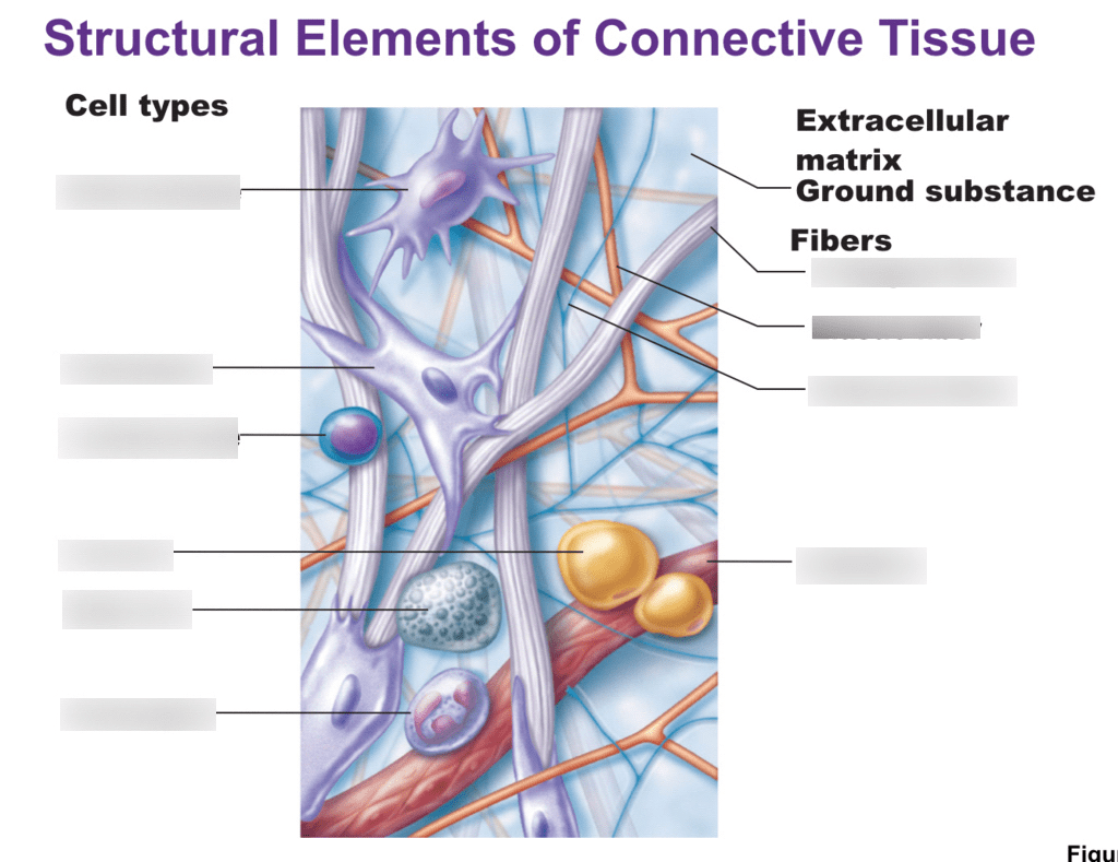 Structural Elements Diagram | Quizlet