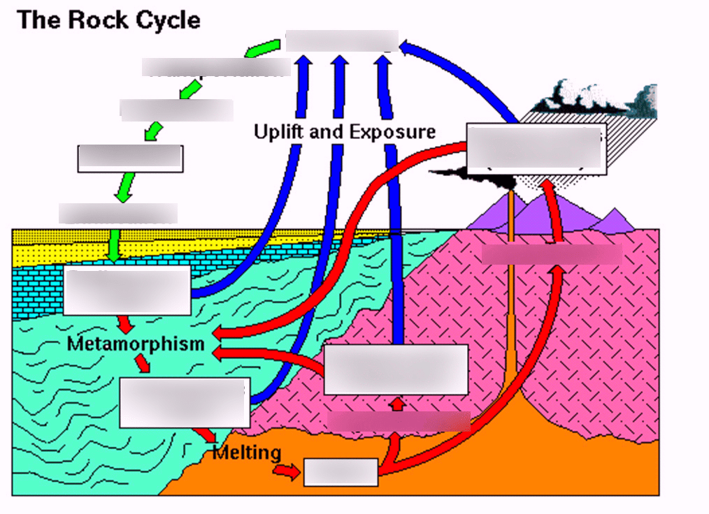Rock Cycle Diagram To Label Human Body Anatomy