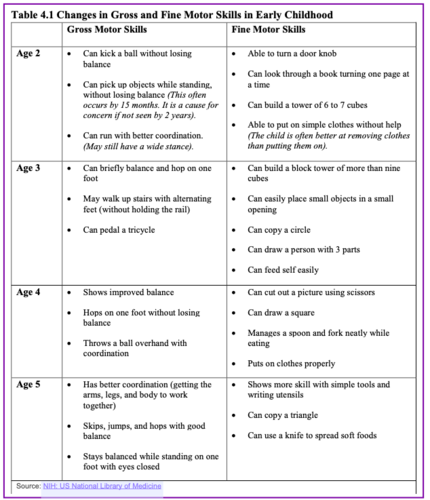 Chapter 4: Early Childhood Flashcards | Quizlet