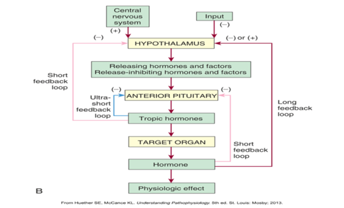ABPI Unit 3C Flashcards | Quizlet