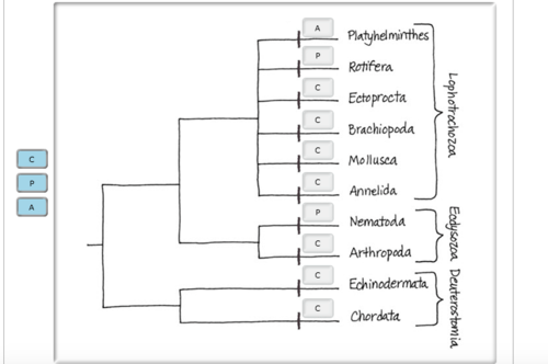 Bio Chapter 33 Flashcards | Quizlet