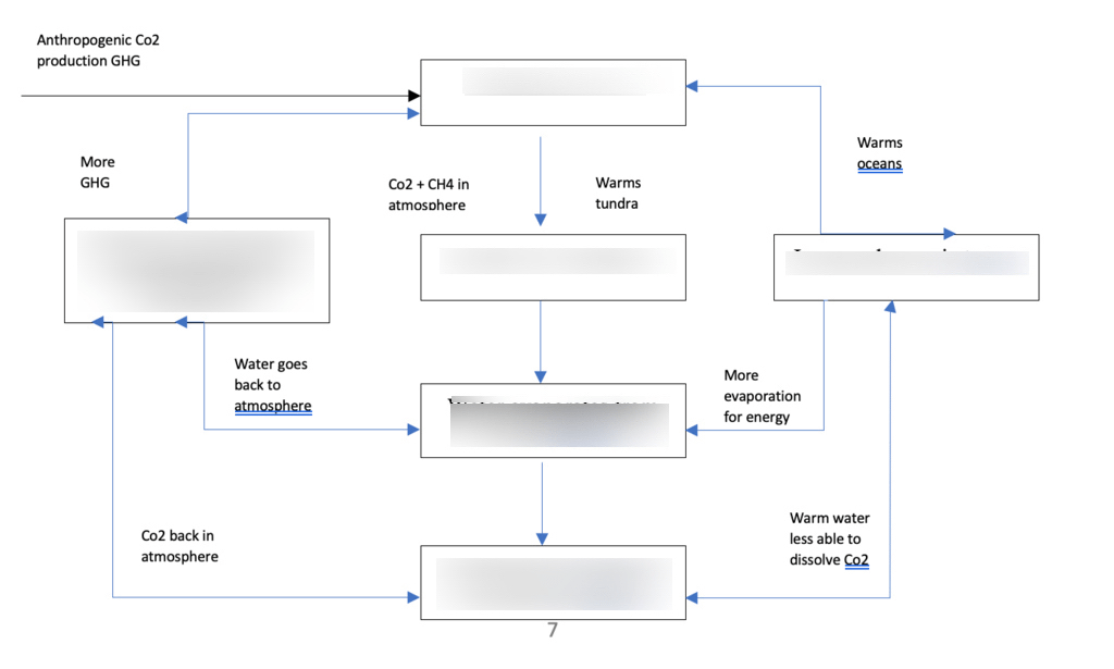Diagram of AQA A level The Water and Carbon Cycle | Quizlet