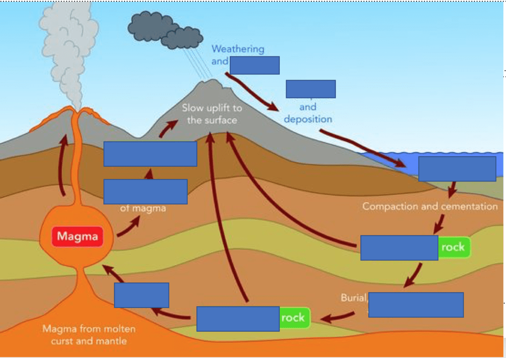 Rock cycle, Rock Cycle, Earth's day, night and seaons, Mucles, Muscles