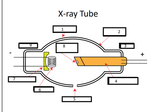 X-Ray Machine Flashcards | Quizlet